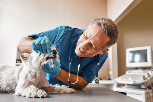 Best Emergency Dental Care for Trauma or Injury in Twin Rivers, NJ