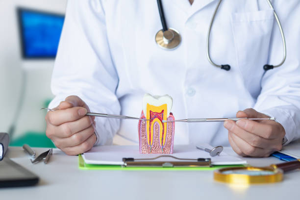 Best Emergency Root Canal Treatment in Twin Rivers, NJ